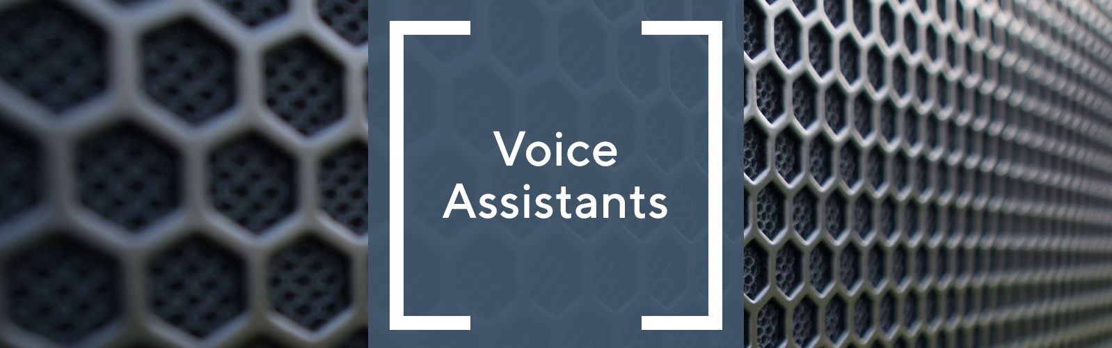 Voice Assistants