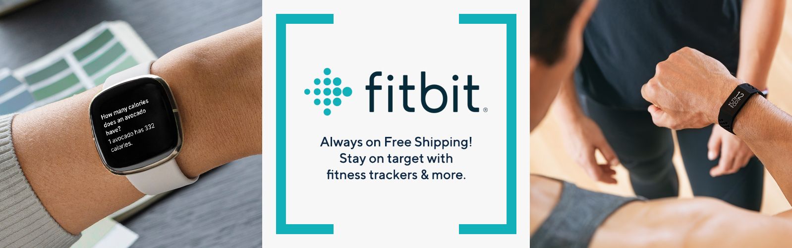 fitbit prices target