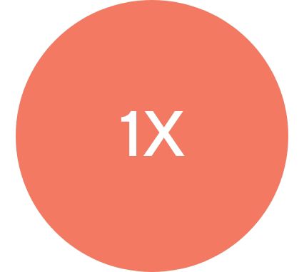 1X