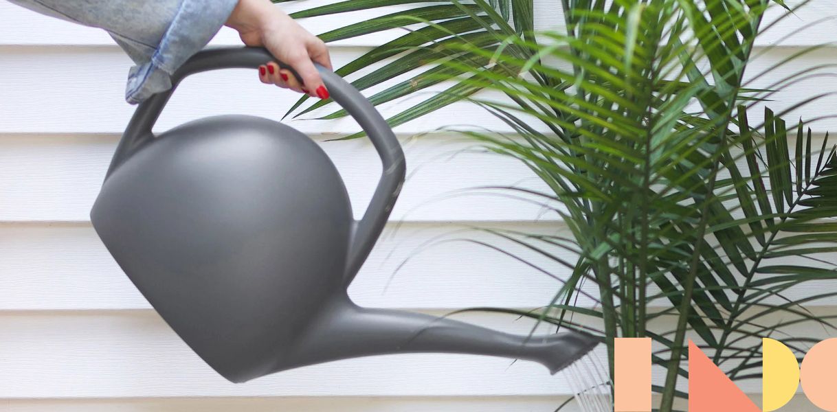 Bloem Watercan 2 Gal - Rhino