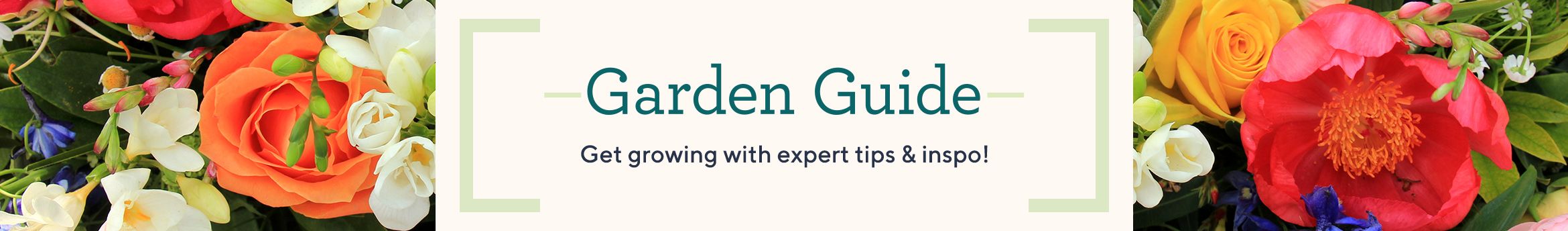 Garden Guide - Get growing with expert tips & inspo!