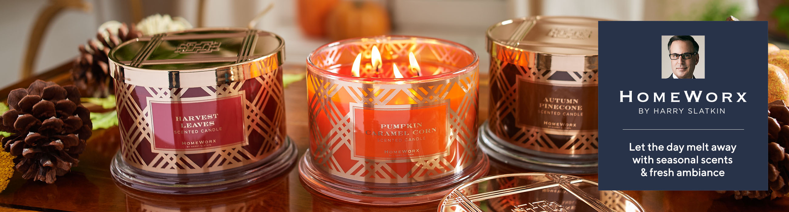 HomeWorx By Harry Slatkin Candles & Fragrances —