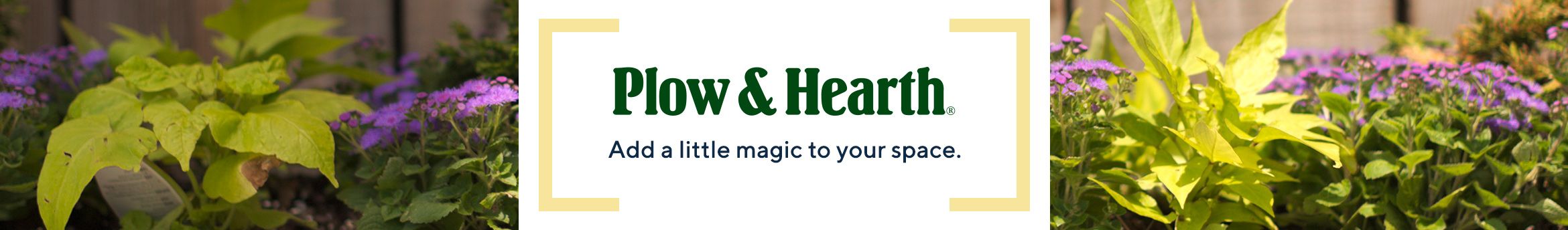 Plow & Hearth - Add a little magic to your space. 