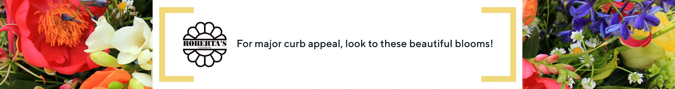 Roberta's  For major curb appeal, look to these beautiful blooms!