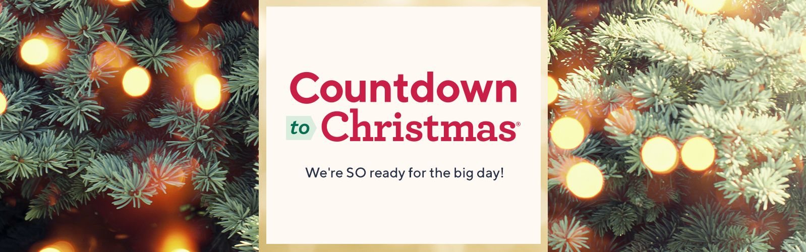 Countdown to Christmas® - We're SO ready for the big day!
