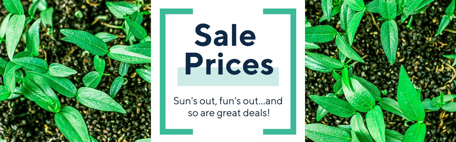 Sale Prices  Sun's out, fun's out…and so are great deals!