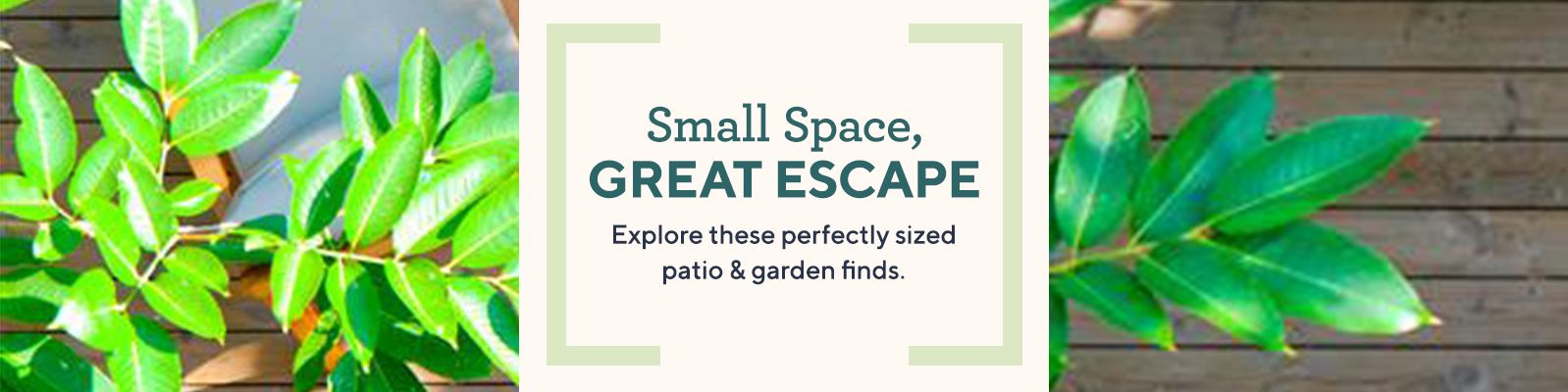Small Space, Great Escape - Explore these perfectly sized patio & garden finds. 