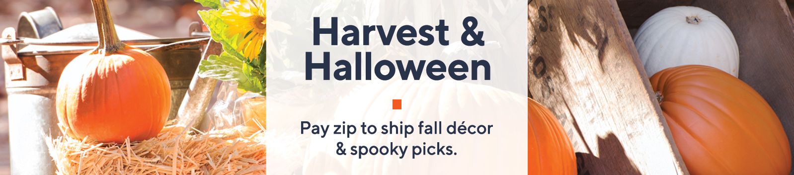 Harvest & Halloween  Pay zip to ship fall décor & spooky picks.
