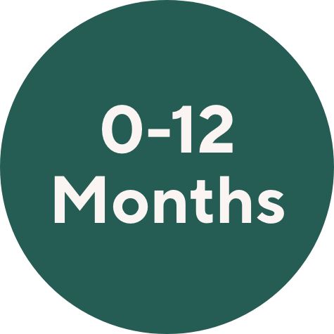 0–12 Months