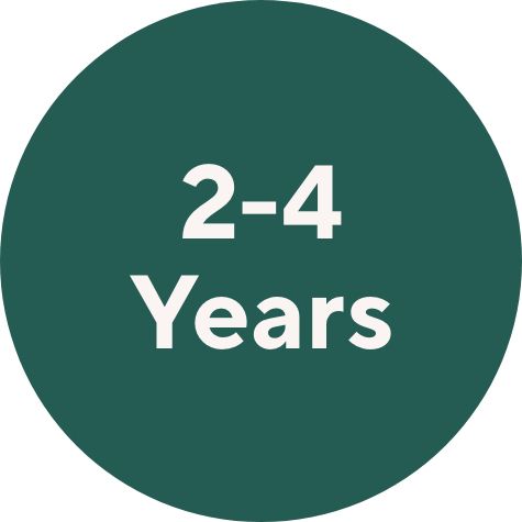 2–4 Years