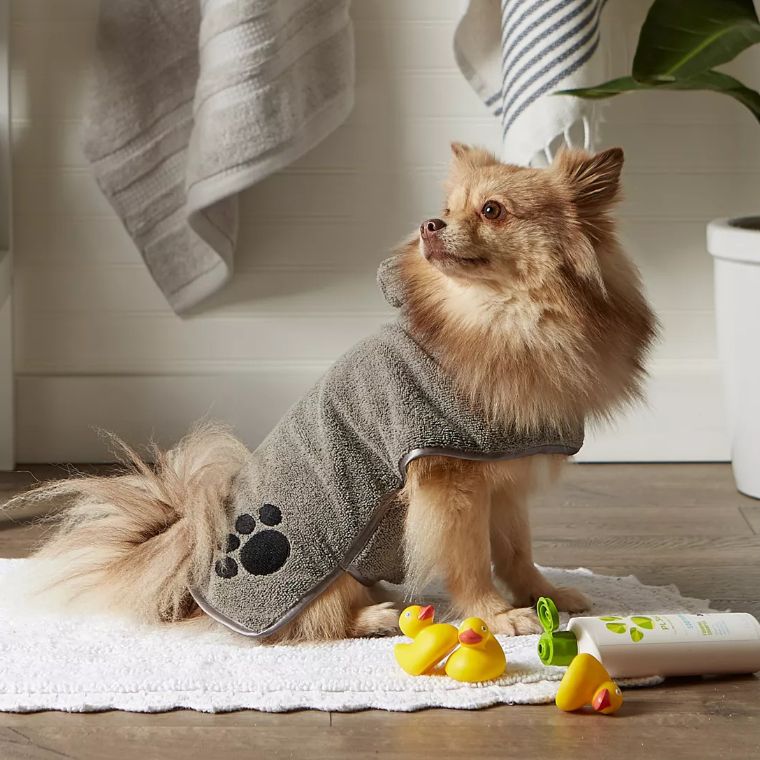 Pet Products Hot Sale Dog Clothes for The Spring & Autumn Cat