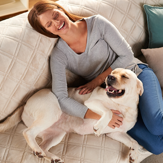 Furniture — Kitchen, Living Room & Office Decor —