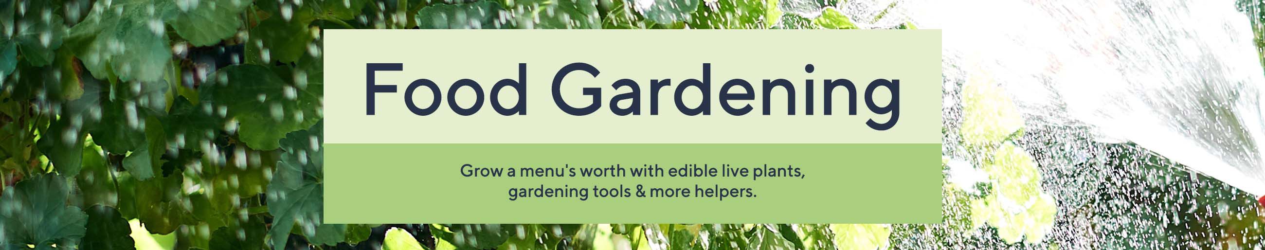 Food Gardening  - Grow a menu's worth with edible live plants, gardening tools & more helpers. 
