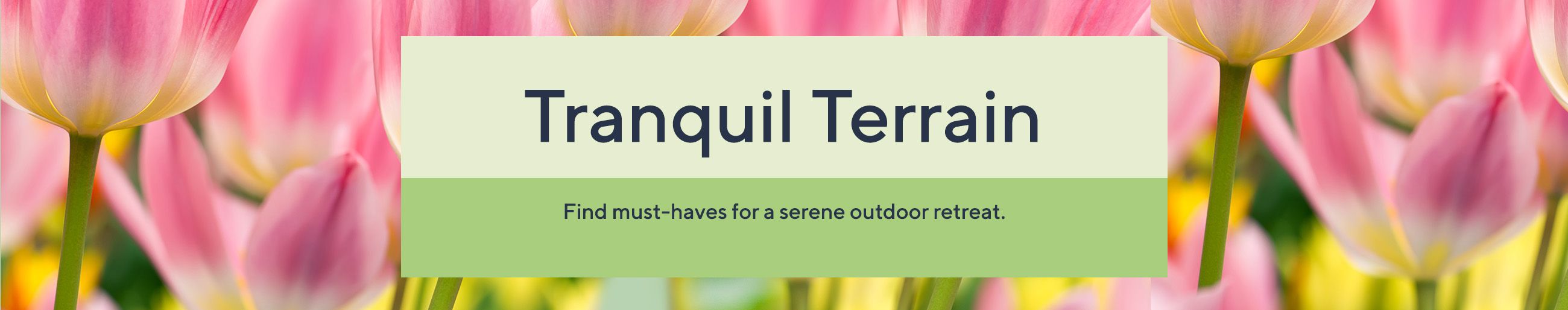 Tranquil Terrain - Find must-haves for a serene outdoor retreat.  