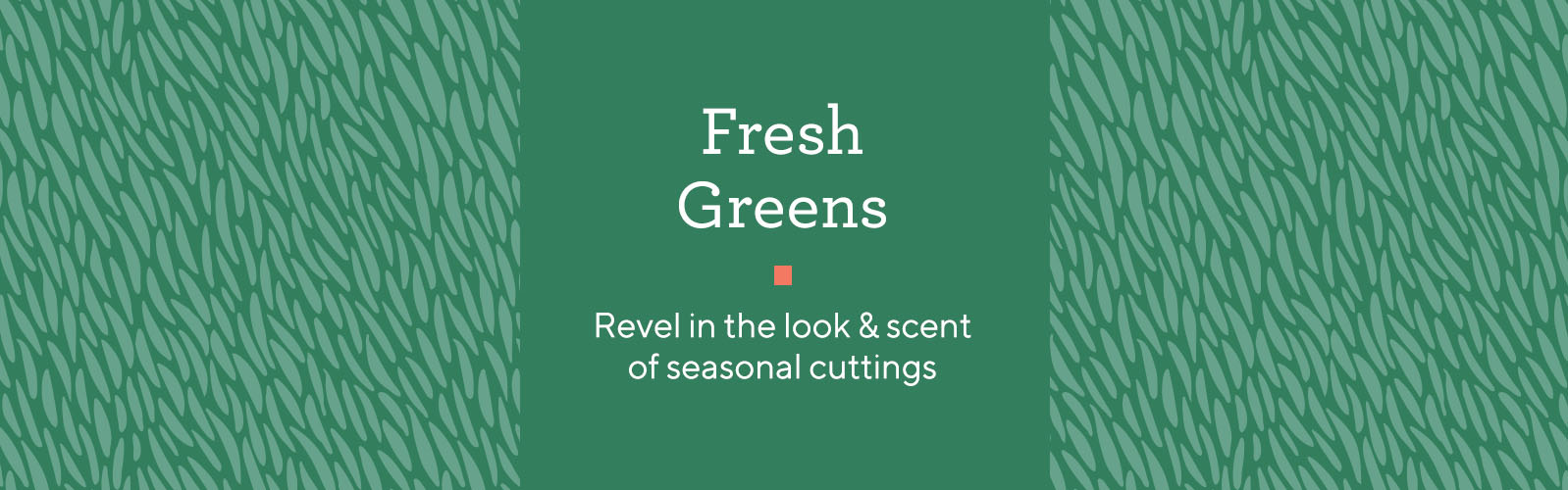 Fresh Greens.  Revel in the look & scent of seasonal cuttings