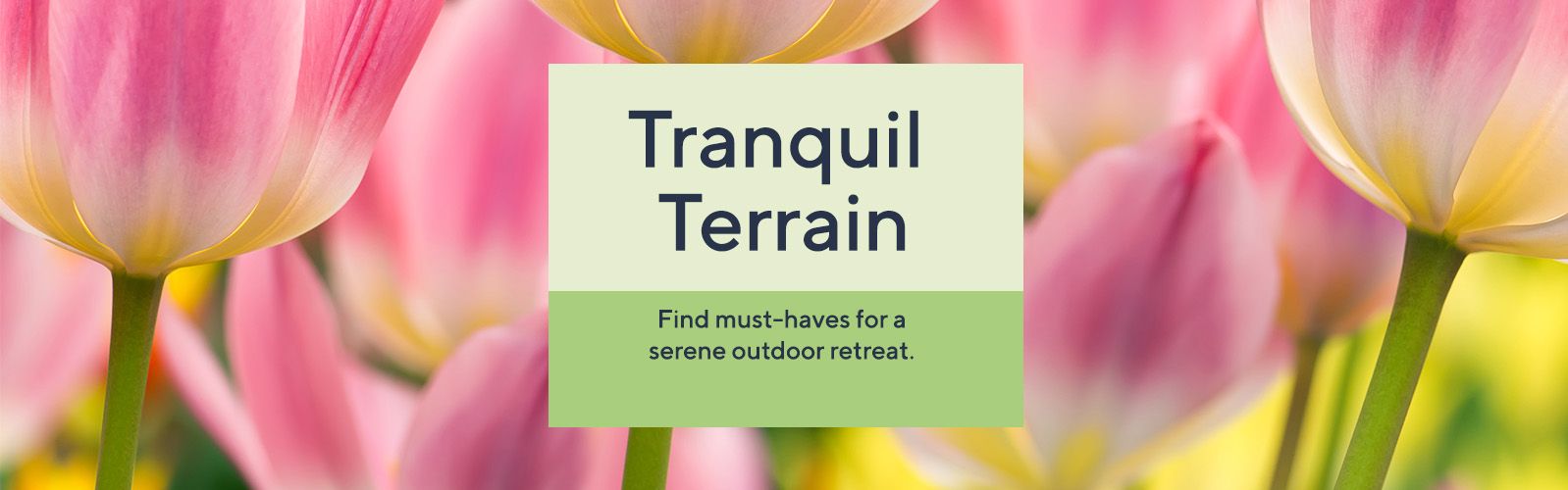 Tranquil Terrain - Find must-haves for a serene outdoor retreat.  