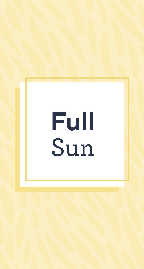 Full Sun 