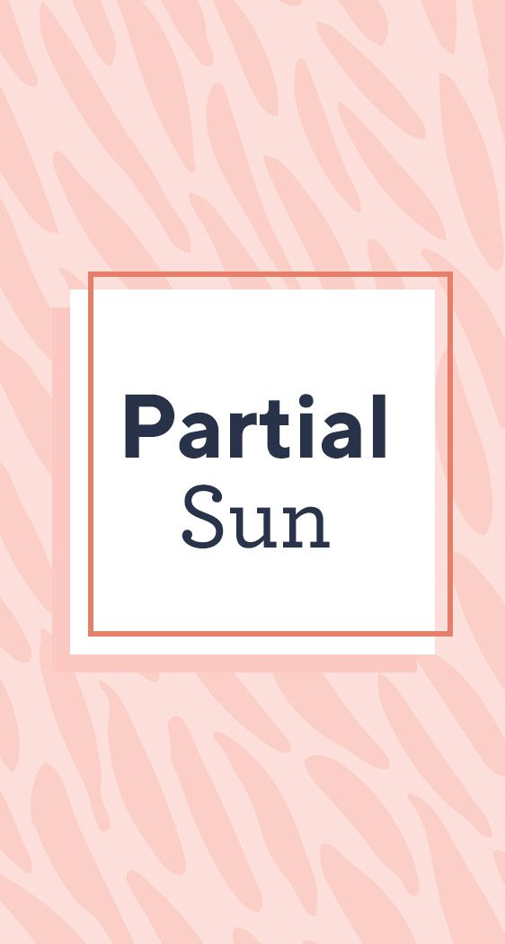 Partial Sun