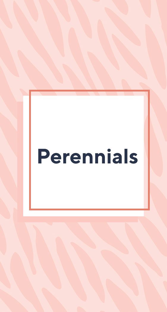 Perennials 