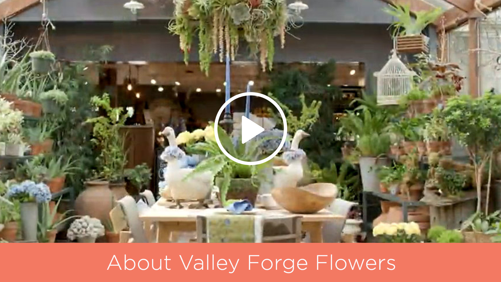 Barbara King — For the Home —