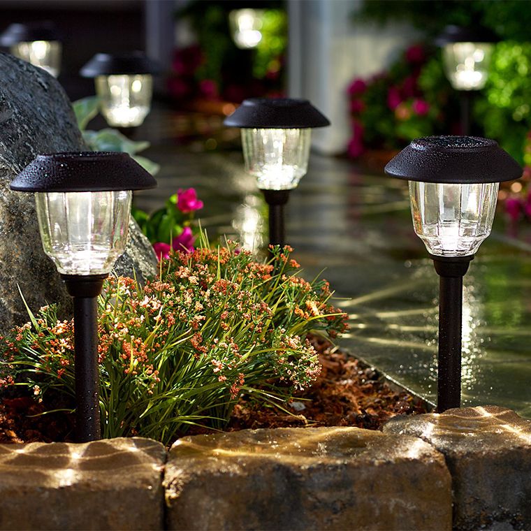 qvc paw print solar lights