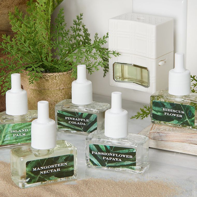 Candles & Scents — Candles, Home Fragrances & More