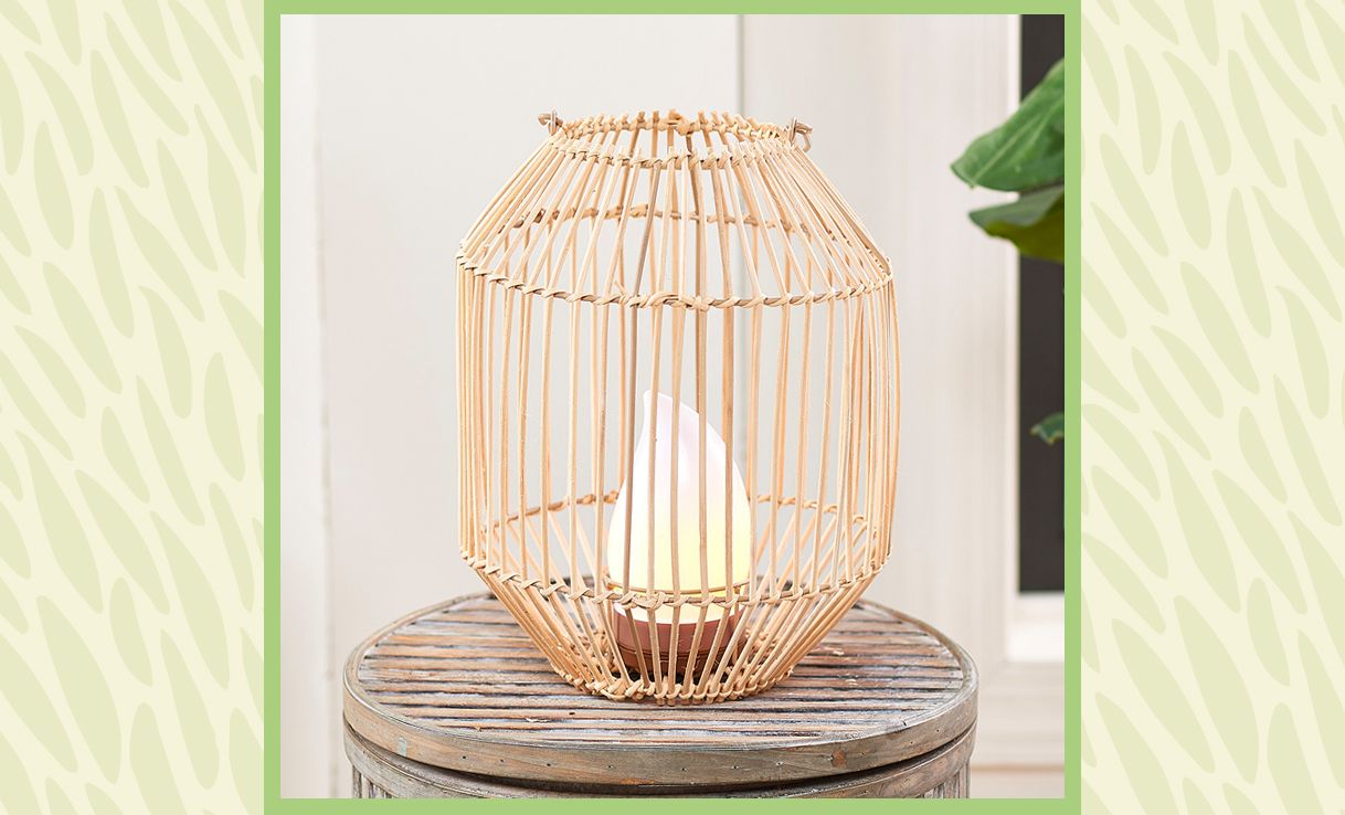 Gardening Trends — Garden & Outdoor Living —