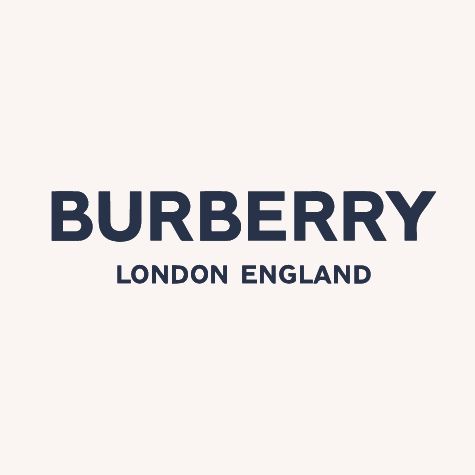 Discover the Stylish Burberry Logo