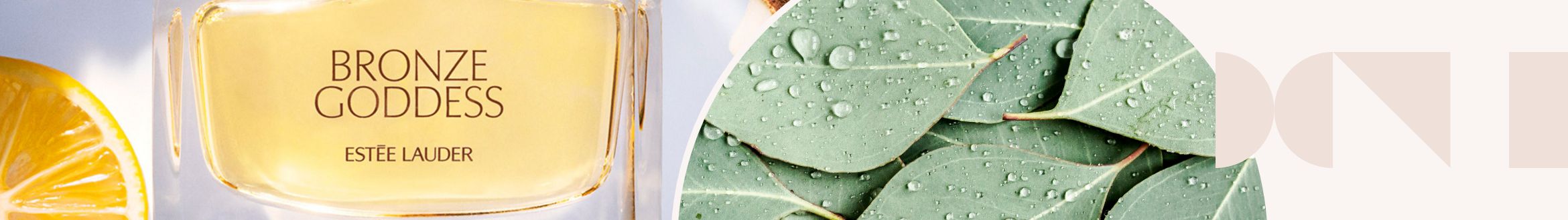 Estee Lauder Bronze Goddess Eau Fraiche Skinscent