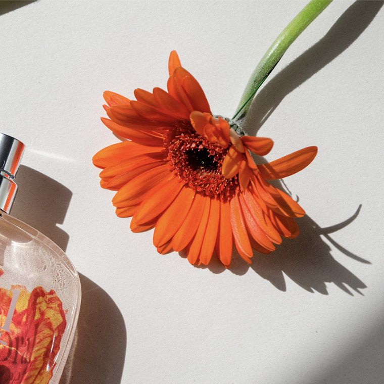 Find Your Perfect Scent: Perfume Similar to Kenzo Flower 
