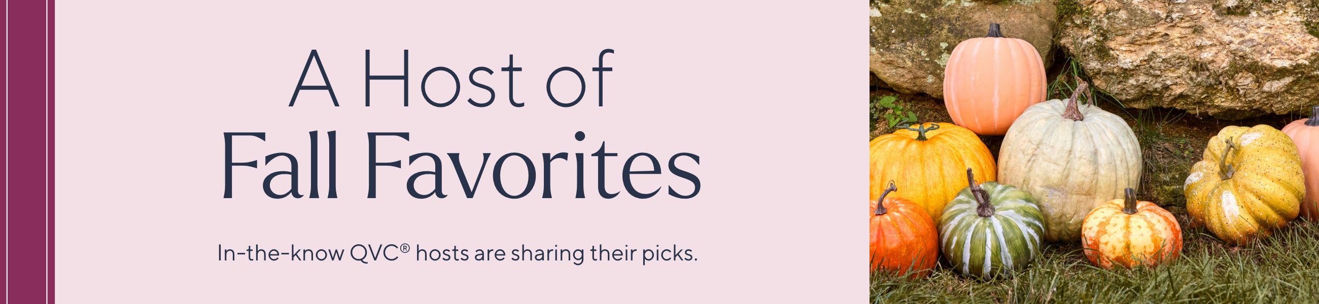 A Host of Fall Favorites: In-the-know QVC® hosts are sharing their picks.