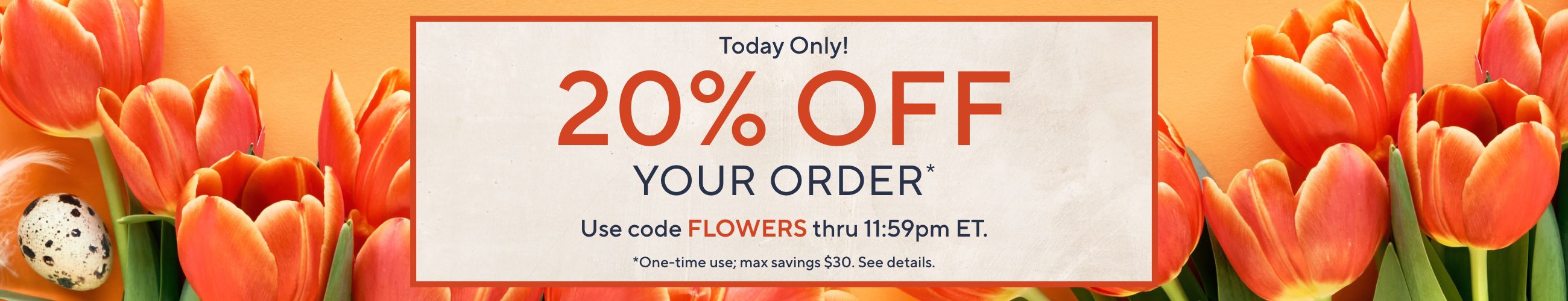 Today Only!  20% Off Your Order* Use code FLOWERS thru 11:59pm ET.  *One-time use; max savings $30. See details.