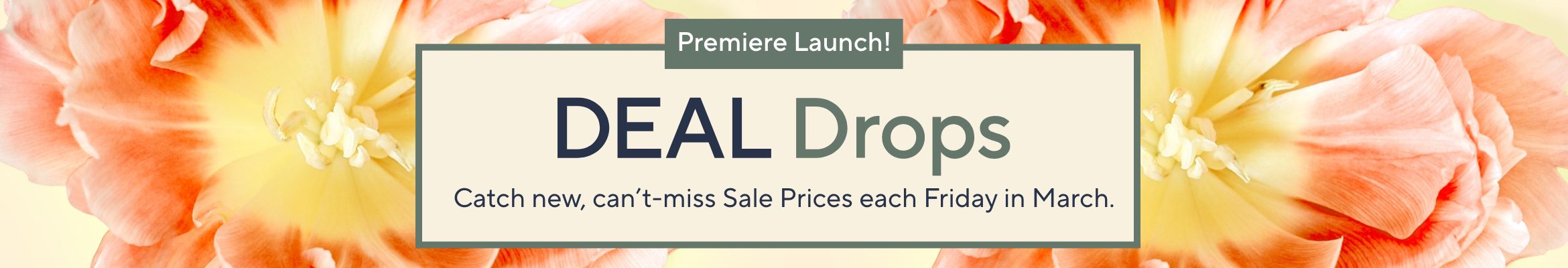 Premiere Launch!   Deal Drops: Catch new, can't-miss Sale Prices each Friday in March.