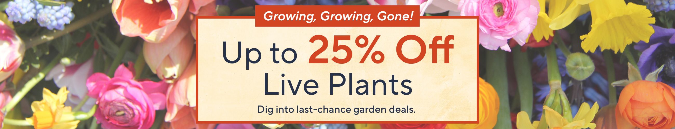 Growing, Growing, Gone! Up to 25% Off Live Plants - Dig into last-chance garden deals. 
