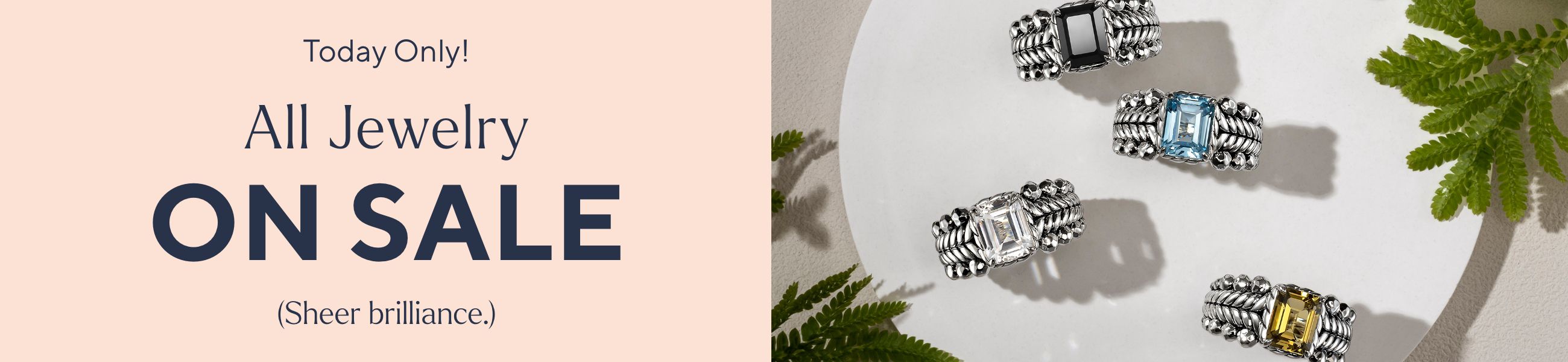 Today Only! All Jewelry on Sale. (Sheer brilliance.)