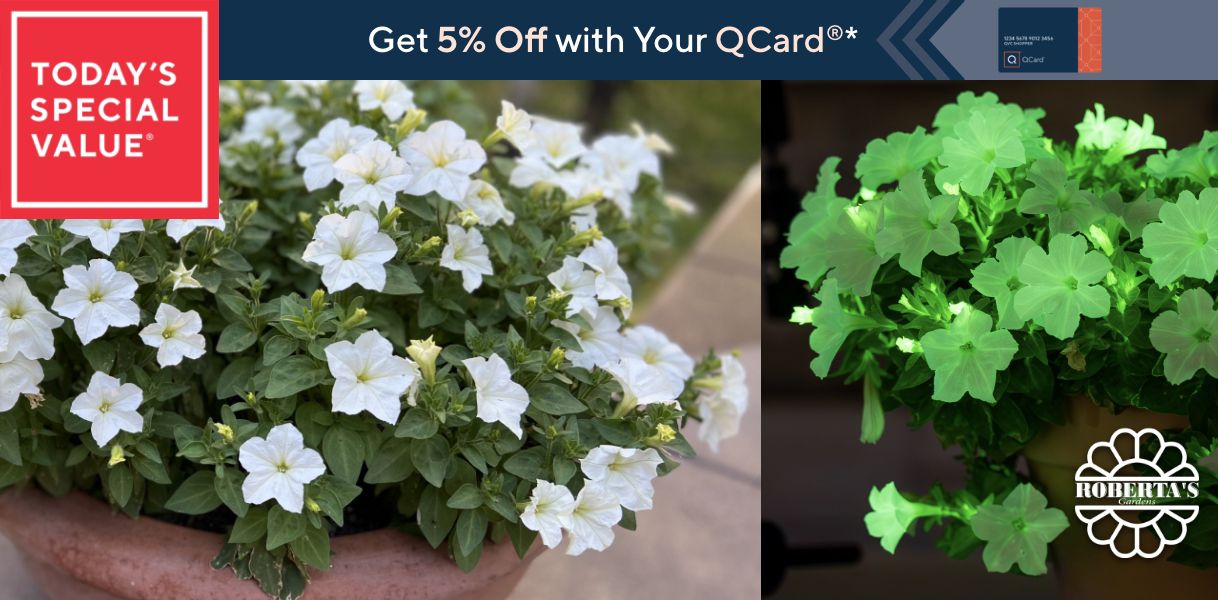 Today's Special Value®    Get 5% Off with Your QCard®*