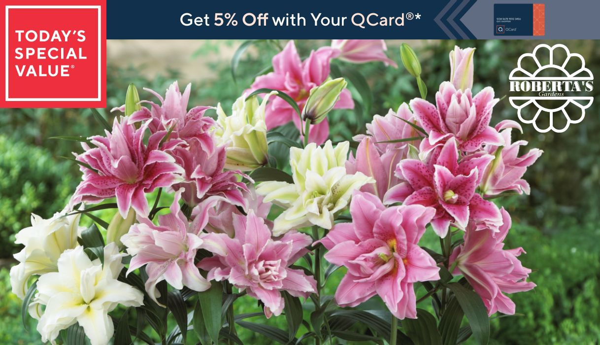 Today's Special Value®    Get 5% Off with Your QCard®*