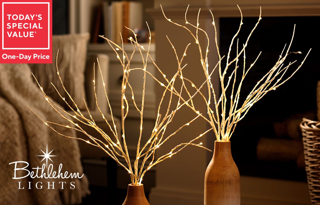 Today's Special Value® One-Day Price: Bethlehem Lights 36" Decorative Branches with Color Flip LEDs