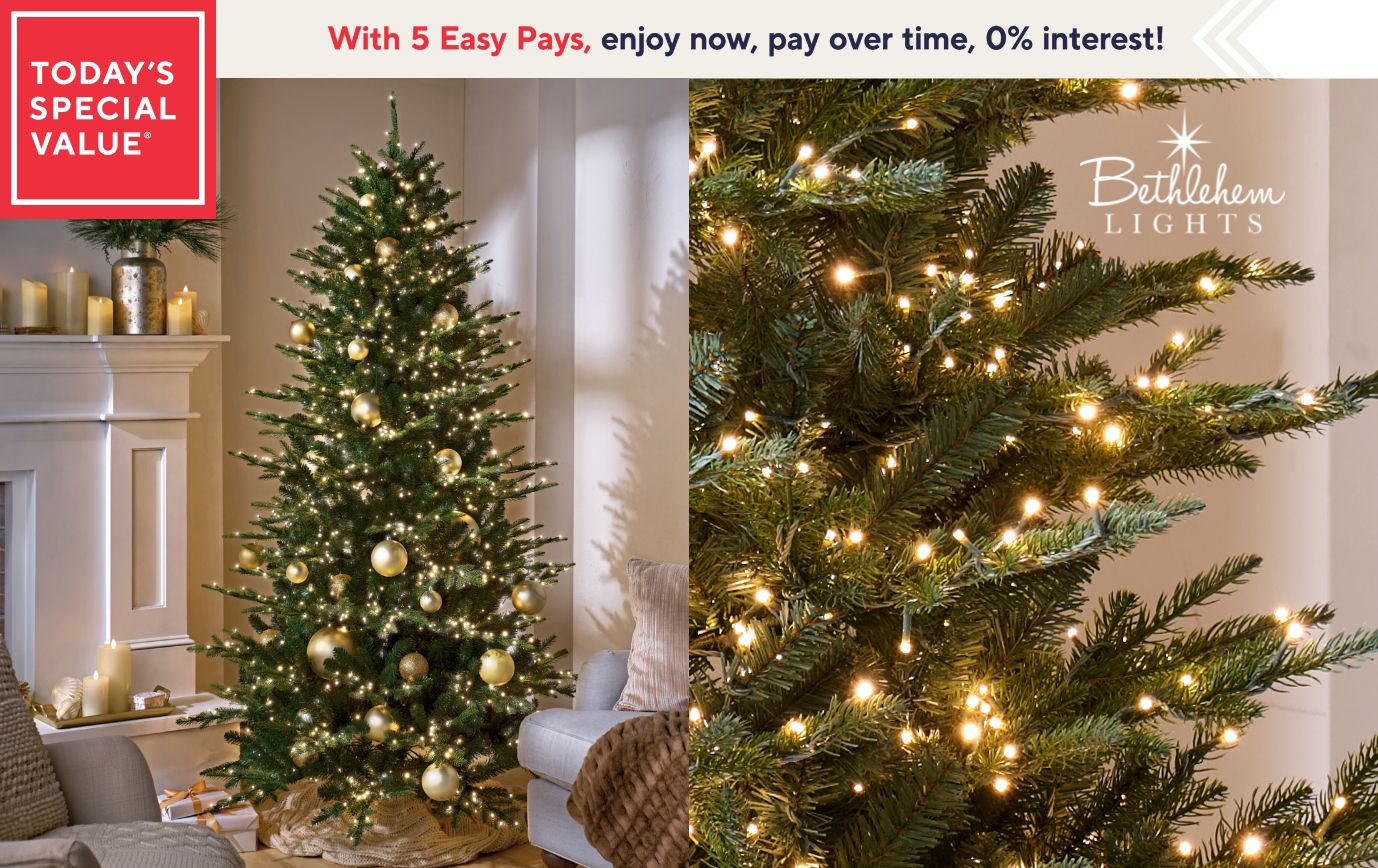 Today's Special Value®  With 5 Easy Pays, enjoy now, pay over time, 0% interest!