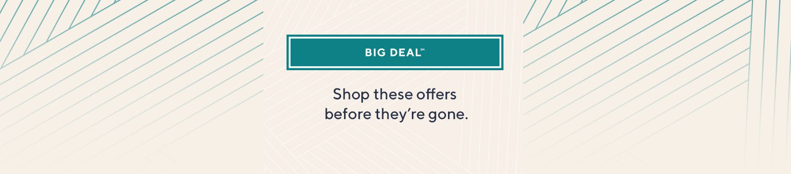 Big Deal℠ - Shop these offers before they’re gone.