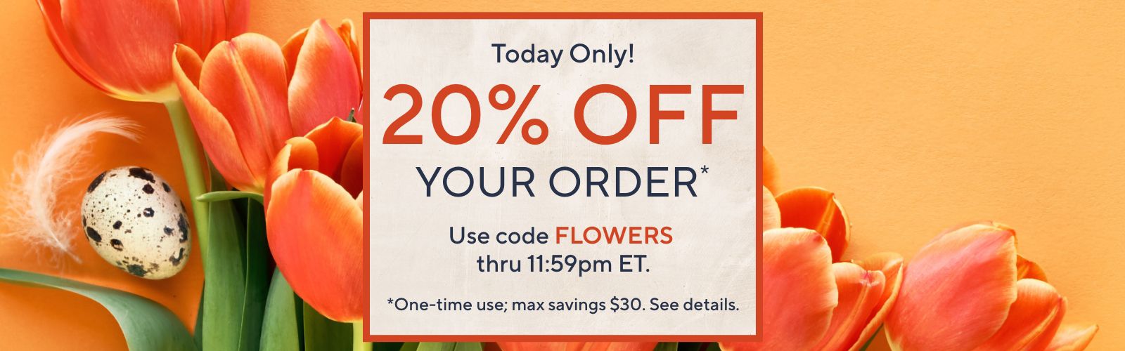 Today Only!  20% Off Your Order* Use code FLOWERS thru 11:59pm ET.  *One-time use; max savings $30. See details.