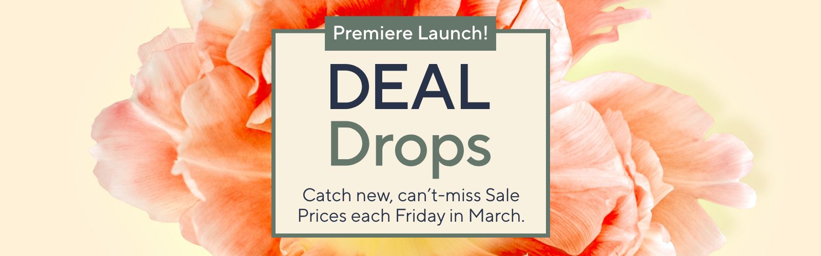 Premiere Launch!   Deal Drops: Catch new, can't-miss Sale Prices each Friday in March.