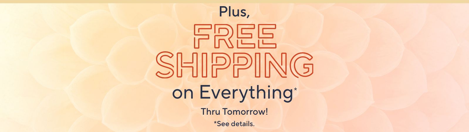  Plus, Free Shipping on Everything* Thru Tomorrow!   *See details.