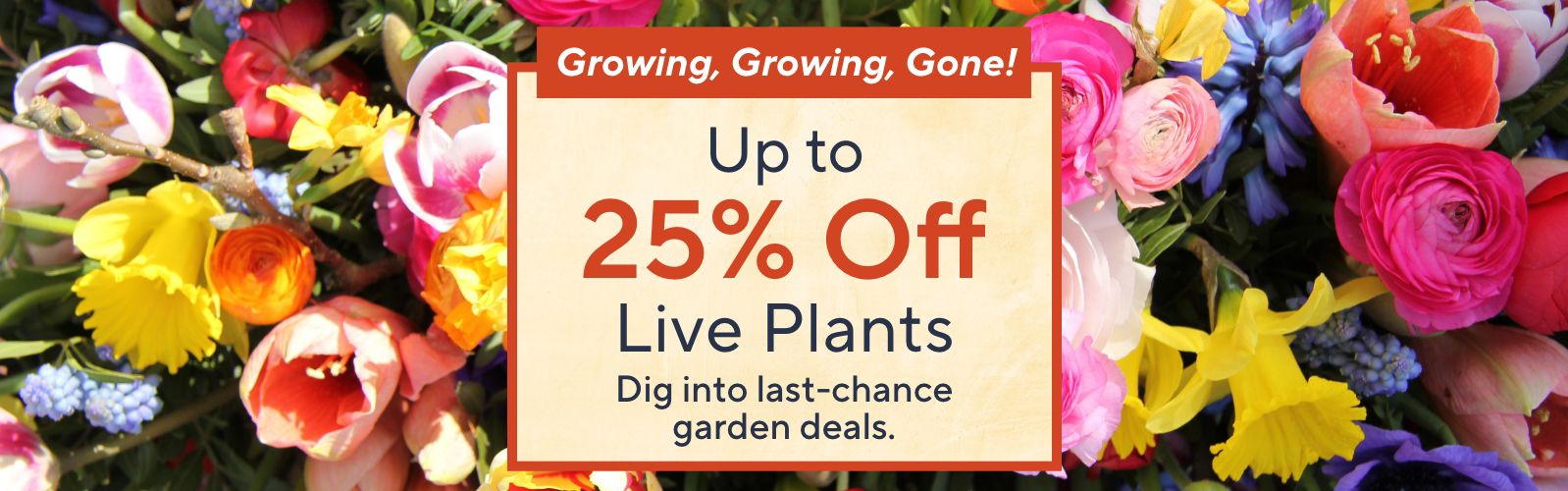 Growing, Growing, Gone! Up to 25% Off Live Plants - Dig into last-chance garden deals. 