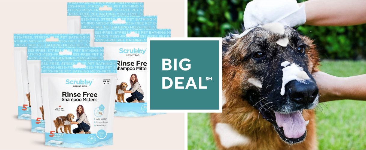 Big Deal℠