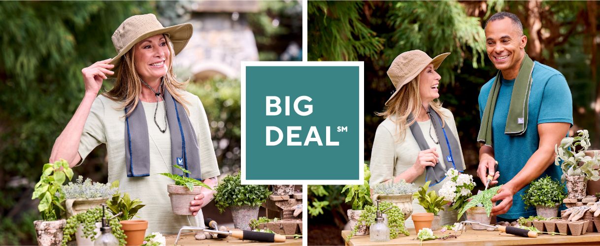 Big Deal℠