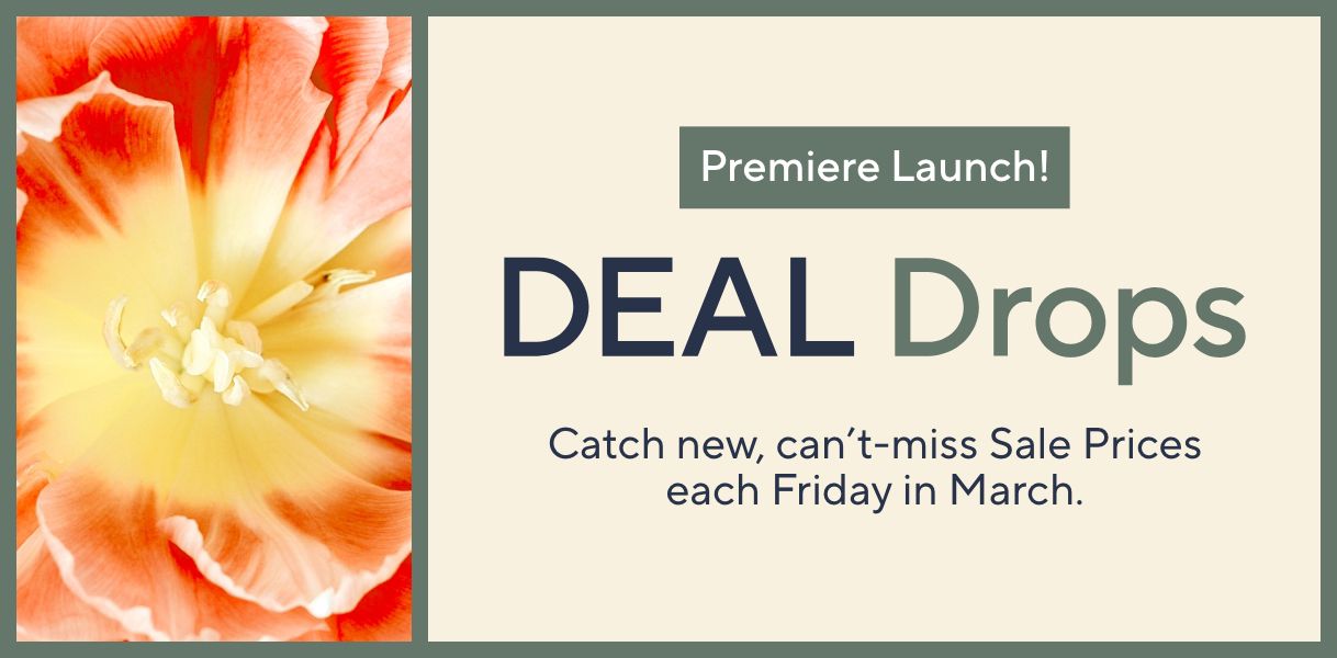 Premiere Launch! Deal Drops: Catch new, can't-miss Sale Prices each Friday in March.