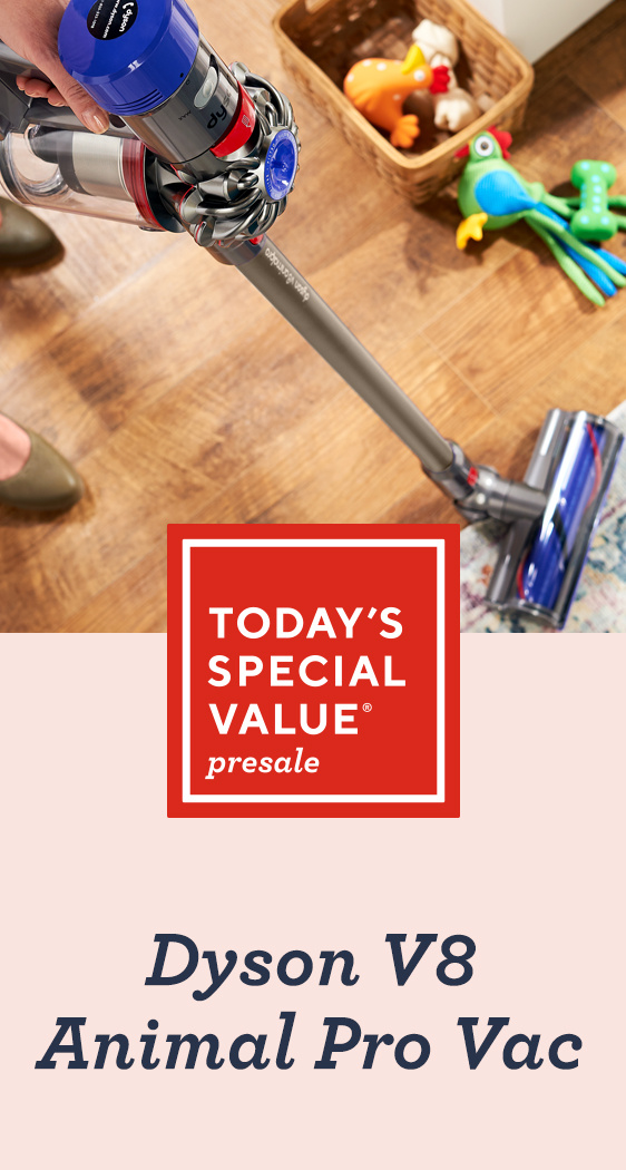 Today's Special Value® Presale — Dyson V8 Animal Pro Vac