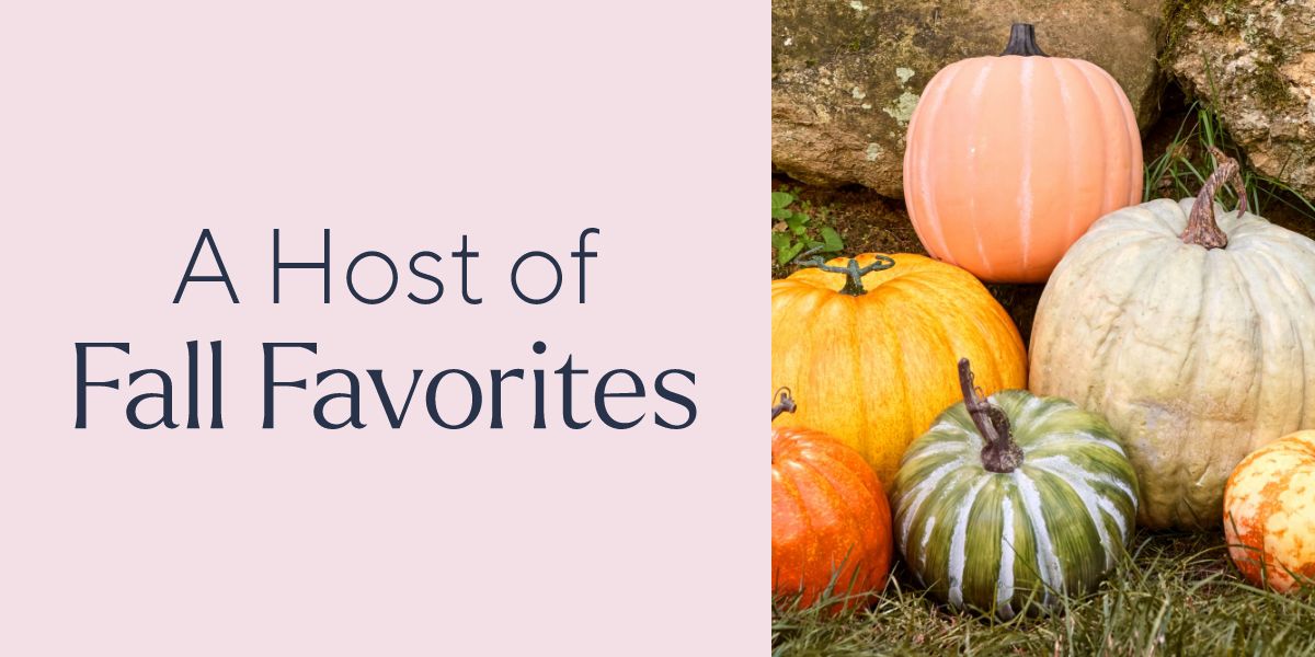 A Host of Fall Favorites