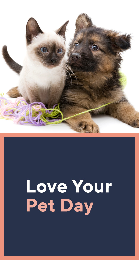 Love Your Pet Day